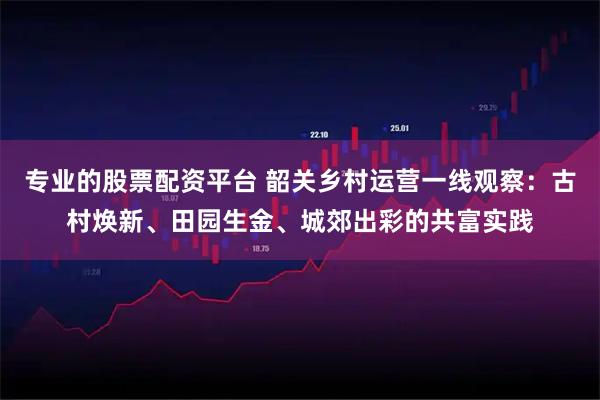 专业的股票配资平台 韶关乡村运营一线观察:古村焕新、田园生金、城郊出彩的共富实践